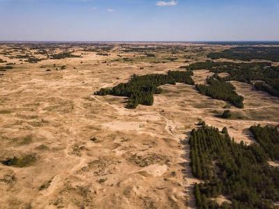 Війна крізь дюни: доля Національного природного парку «Олешківські піски»